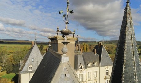 Inspection de toiture d'un château en Bourgogne - DIJON